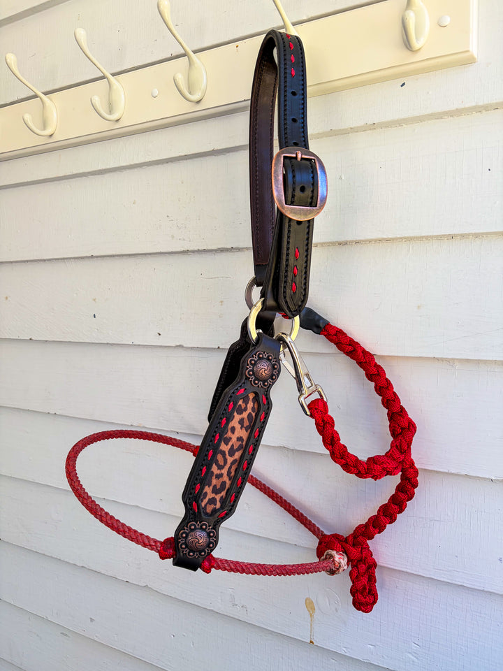 [ Stock] Lariat Muletape Halter- Leopard - without lead