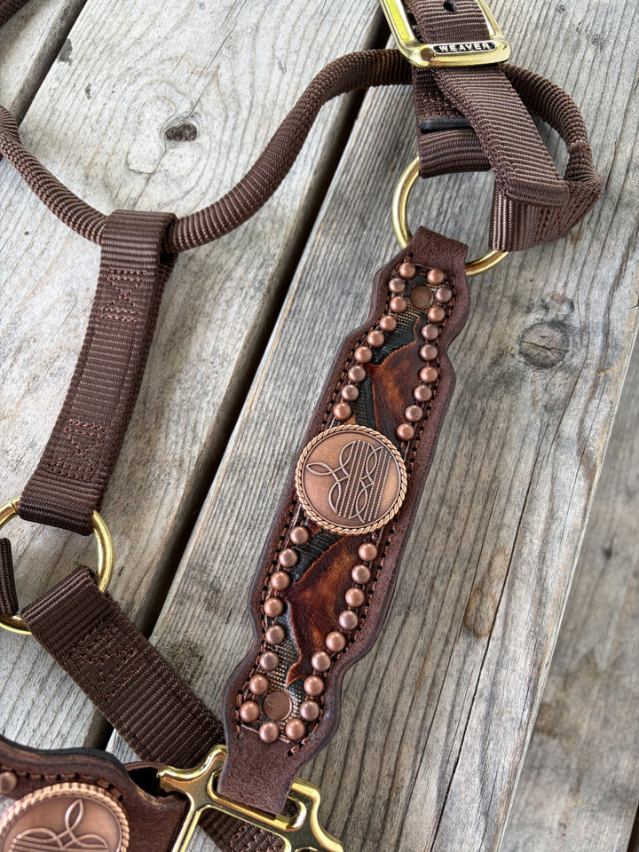 [ Stock] Neutral Gambler- chocolate roughout