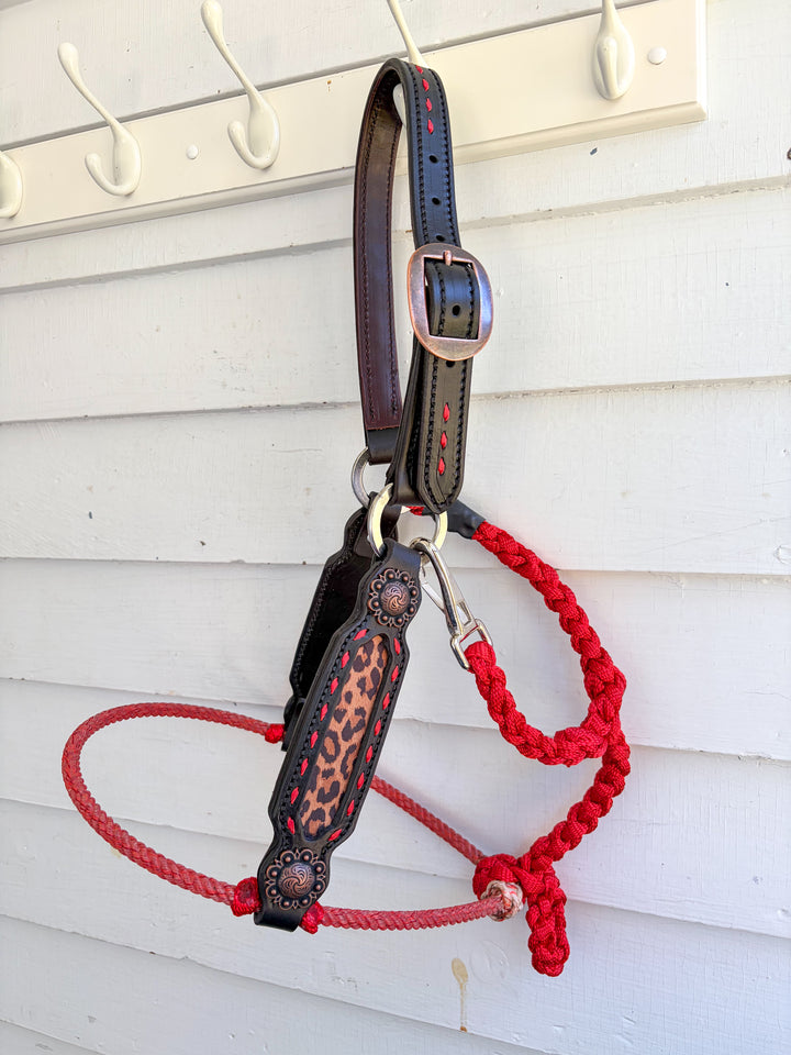 [ Stock] Lariat Muletape Halter- Leopard - without lead