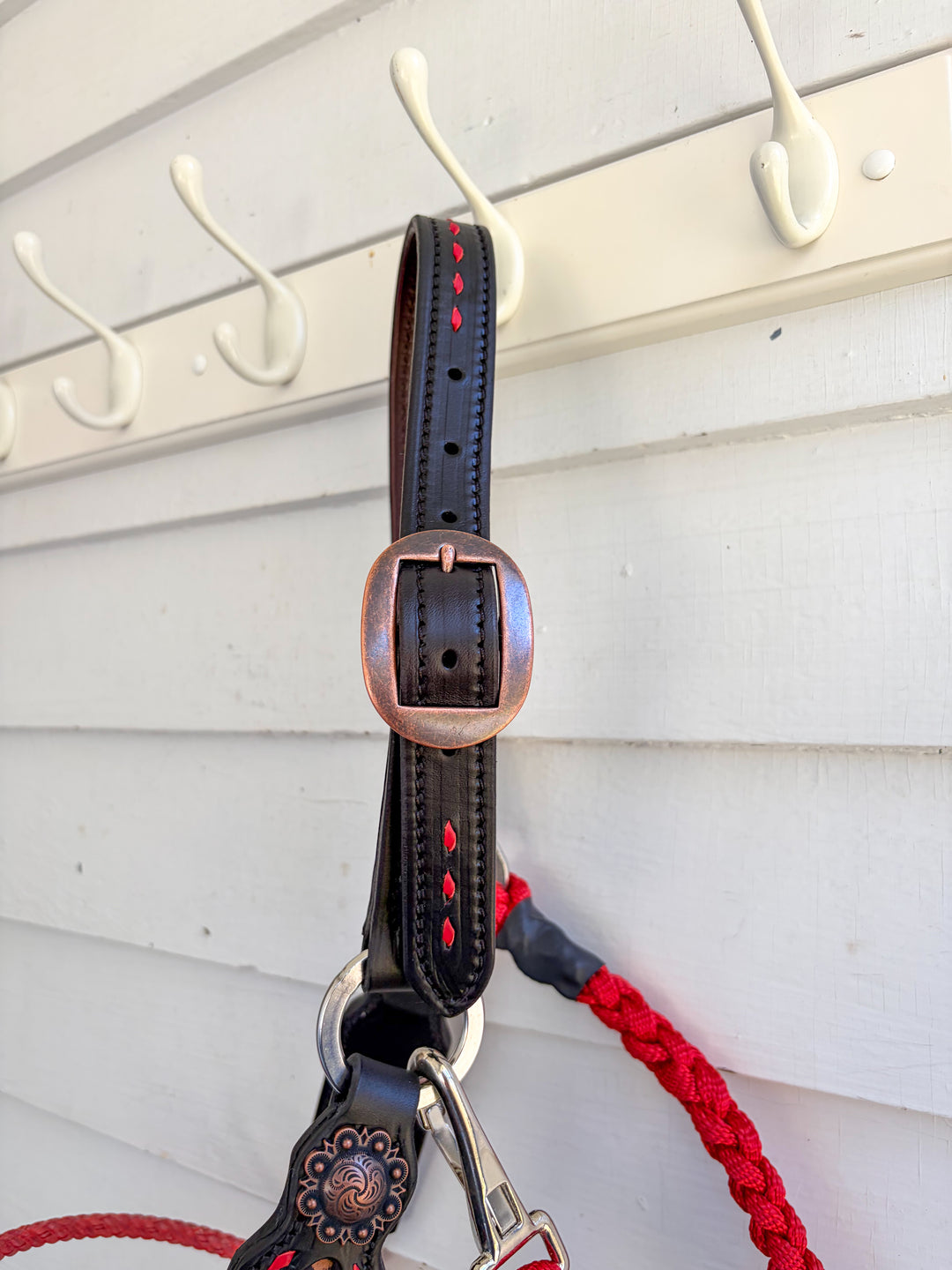 [ Stock] Lariat Muletape Halter- Leopard - without lead
