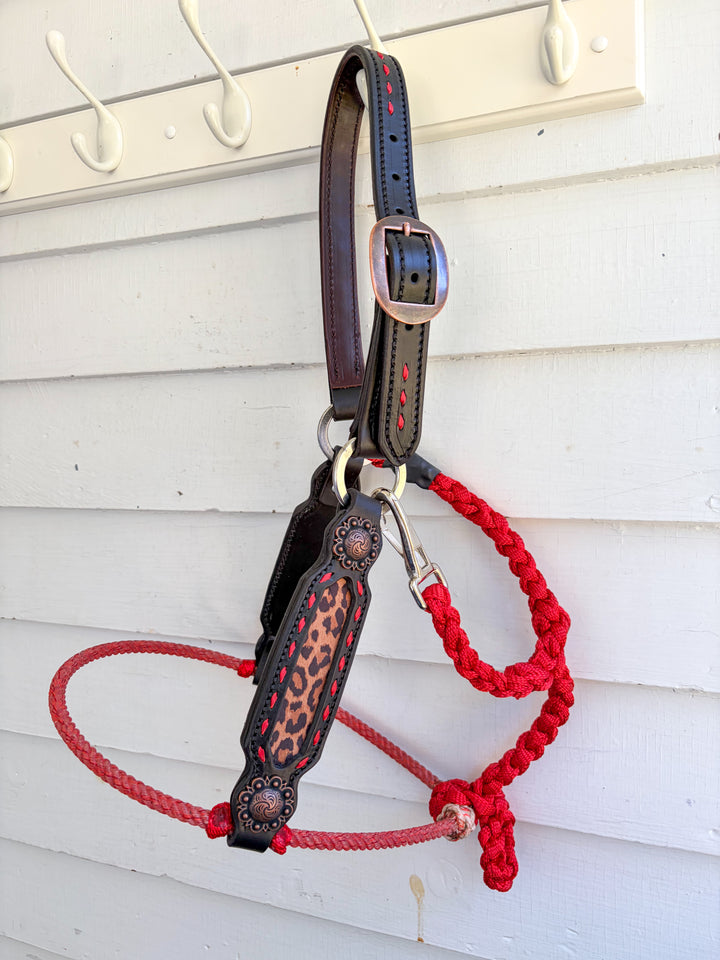 [ Stock] Lariat Muletape Halter- Leopard - without lead