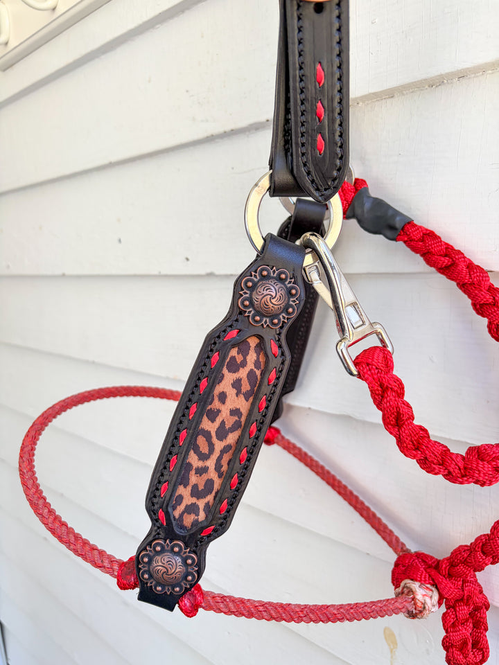 [ Stock] Lariat Muletape Halter- Leopard - without lead