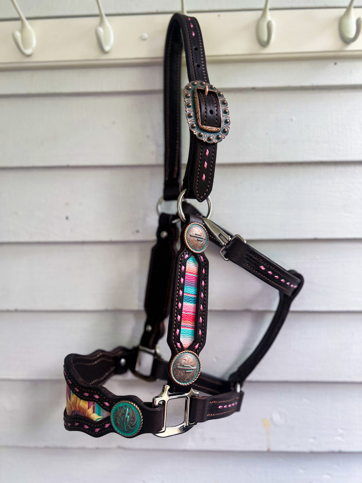 [ Stock] Full Leather Halter - Mackenna on choc