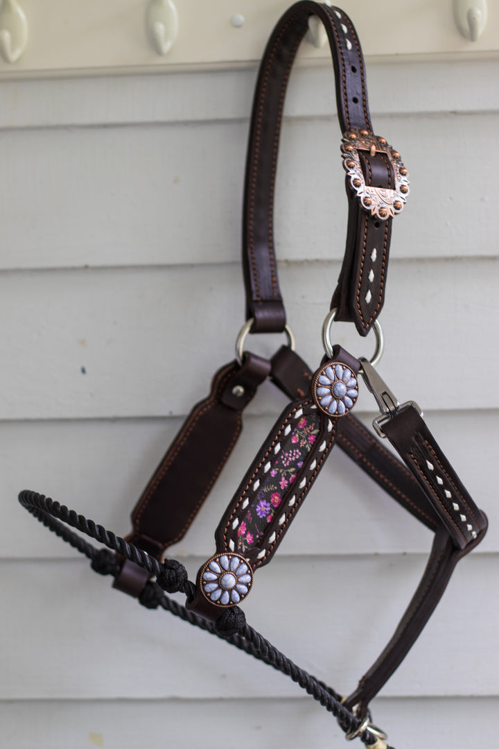 [ Stock] Full Leather Lariat Halter - Starlight Bloom  - black lariat