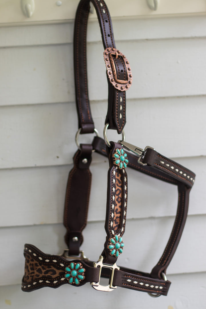 [ Stock] Full Leather Halter - Leopard  on chocolate