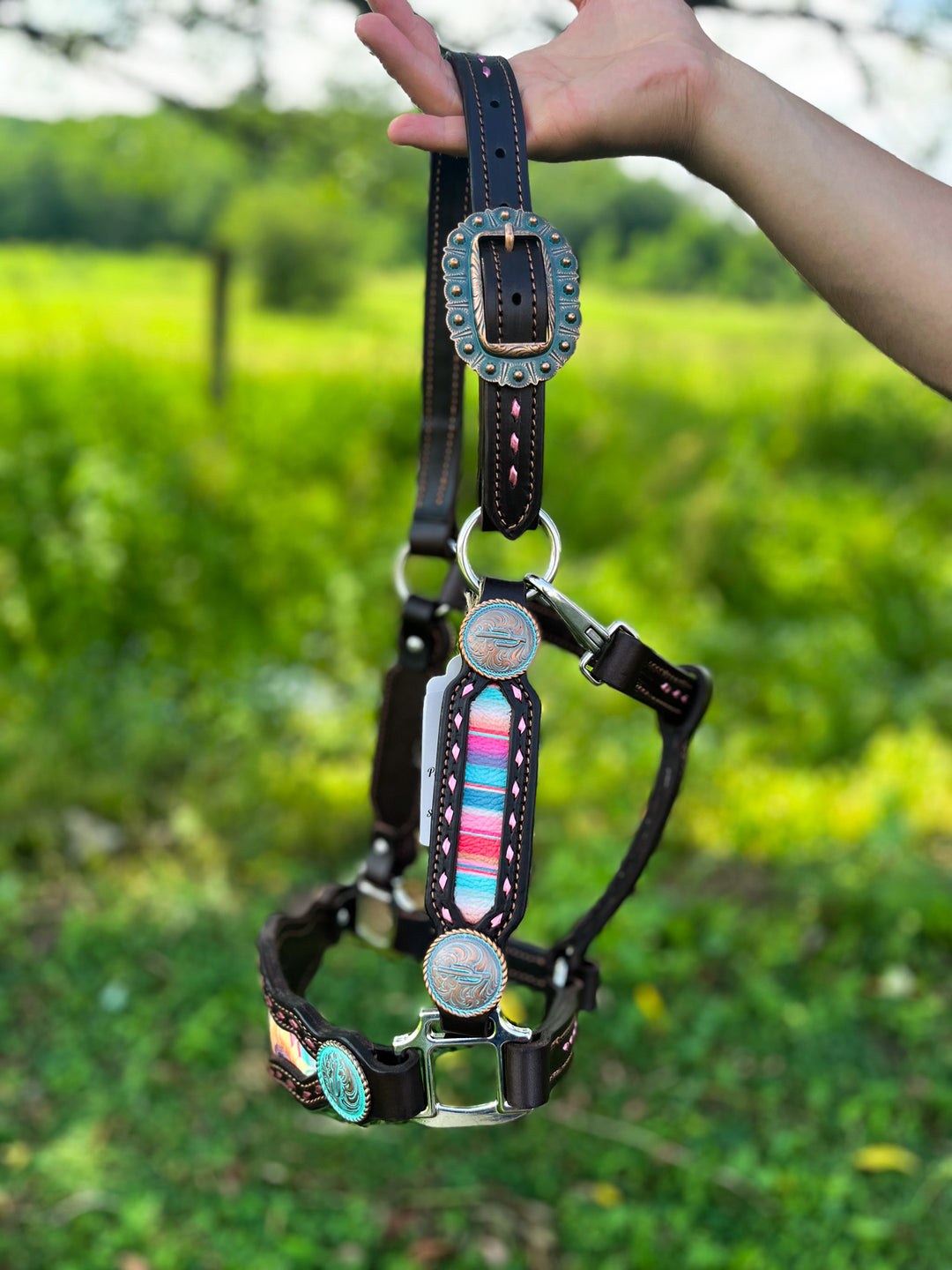 [ Stock] Full Leather Halter - Mackenna on choc