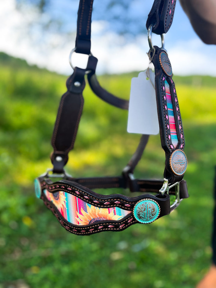 [ Stock] Full Leather Halter - Mackenna on choc