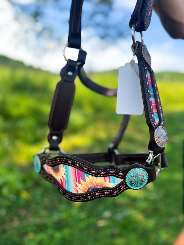 [ Stock] Full Leather Halter - Mackenna on choc