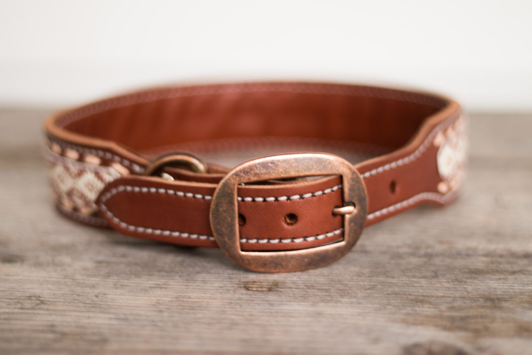 [ In Stock] Blaze Dog Collar  - 20-23"